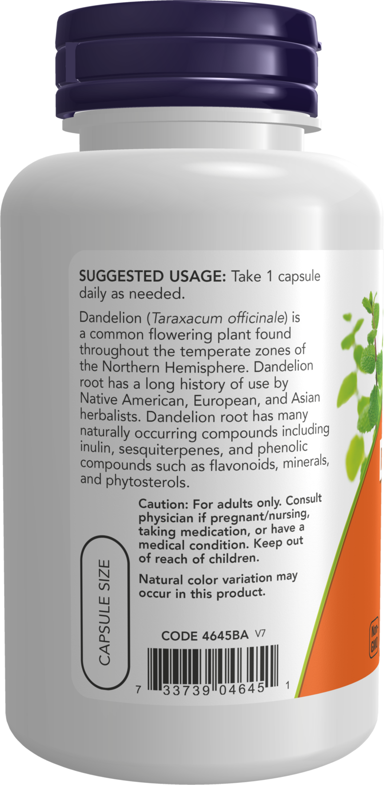 NOW Supplements, Dandelion Root (Taraxacum officinale) 500 mg, Herbal Supplement, 100 Veg Capsules