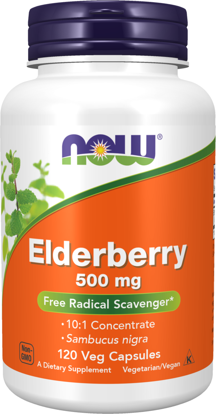 Elderberry 500 mg - 120 Veg Capsules 120 Veg Capsules