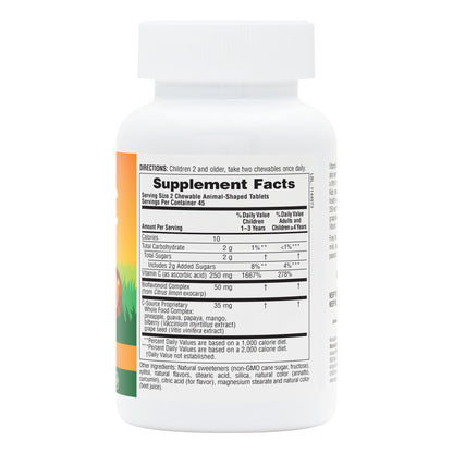 NaturesPlus, Animal Parade Vitamin C, 90 Tablets