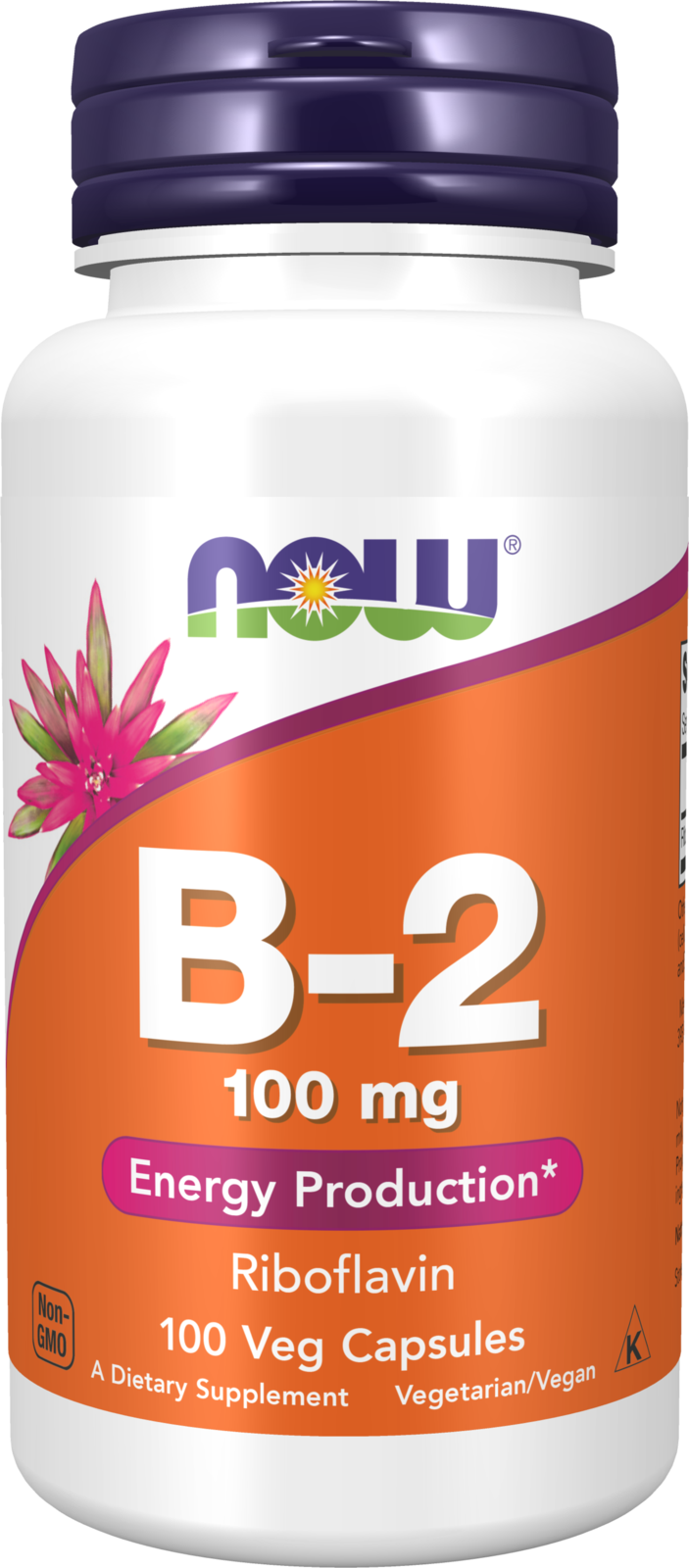 Vitamin B-2 100 mg - 100 Veg Capsules 100 Veg Capsules