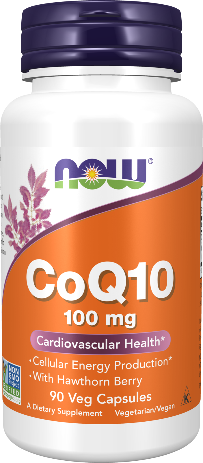 CoQ10 100mg with Hawthorn Berry 90 Capsules